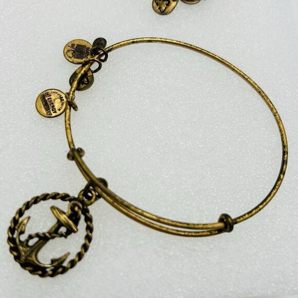 Set of 4 Alex & Ani Bangle Bracelets Goldtone Energy Dragonfly Apple Anchor - Picture 4 of 5